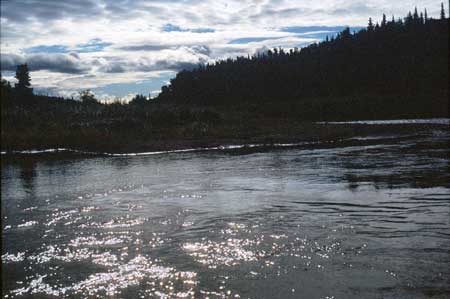Transect 9 looking upstream